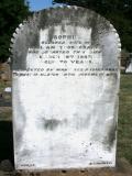 image of grave number 943863
